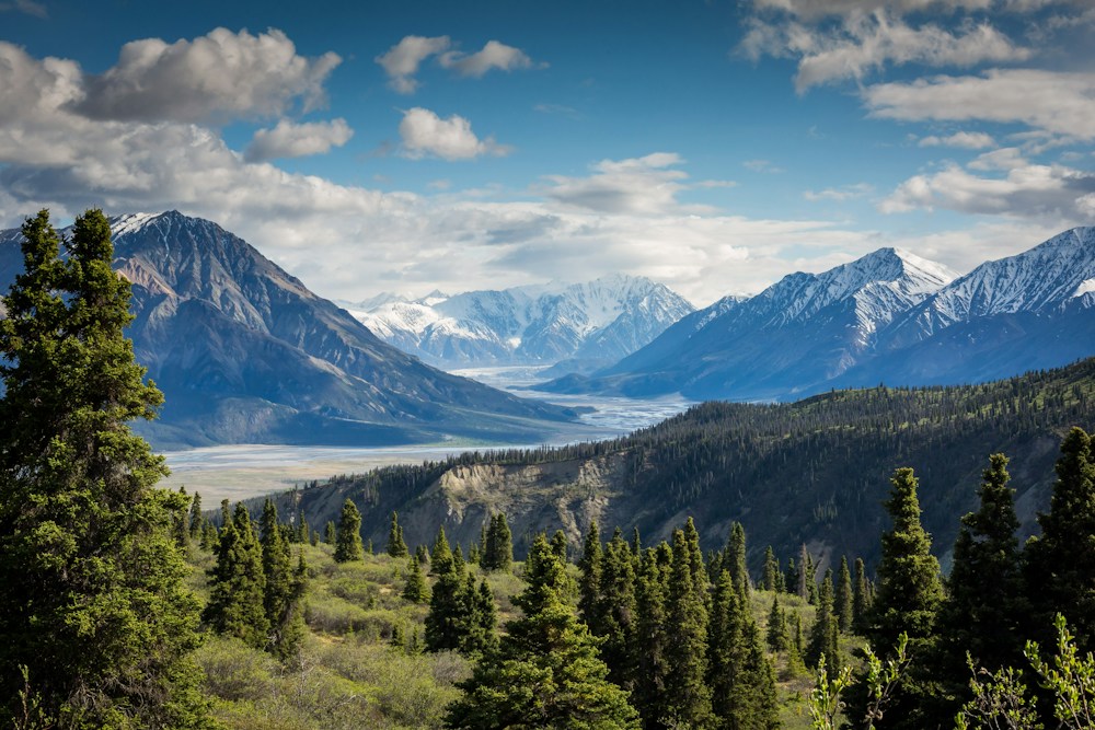 EIA & Environmental Studies