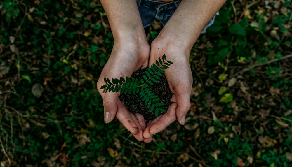 Specialised Environmental Studies and Modelling